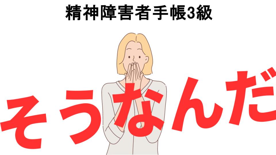 意味ないと思う人におすすめ！精神障害者手帳3級の代わり